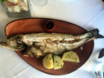 Guernica Fish